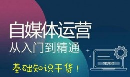如何约稿爆料视频赚钱,轻松实现财富增长