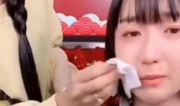 辛巴爆料徐婕视频大全播放,揭秘背后真相与争议